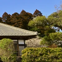 画像：外観